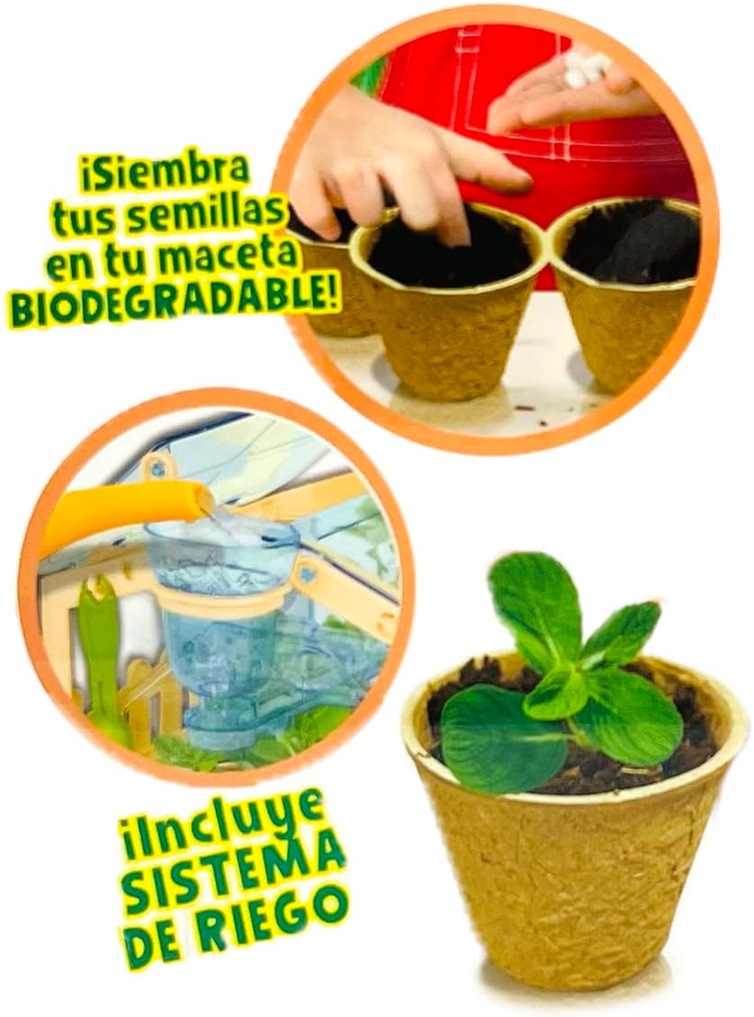 Ult Mi Jardin Botanico Premium, Invernadero, Accesorios de Jardineria, Juego Educativo