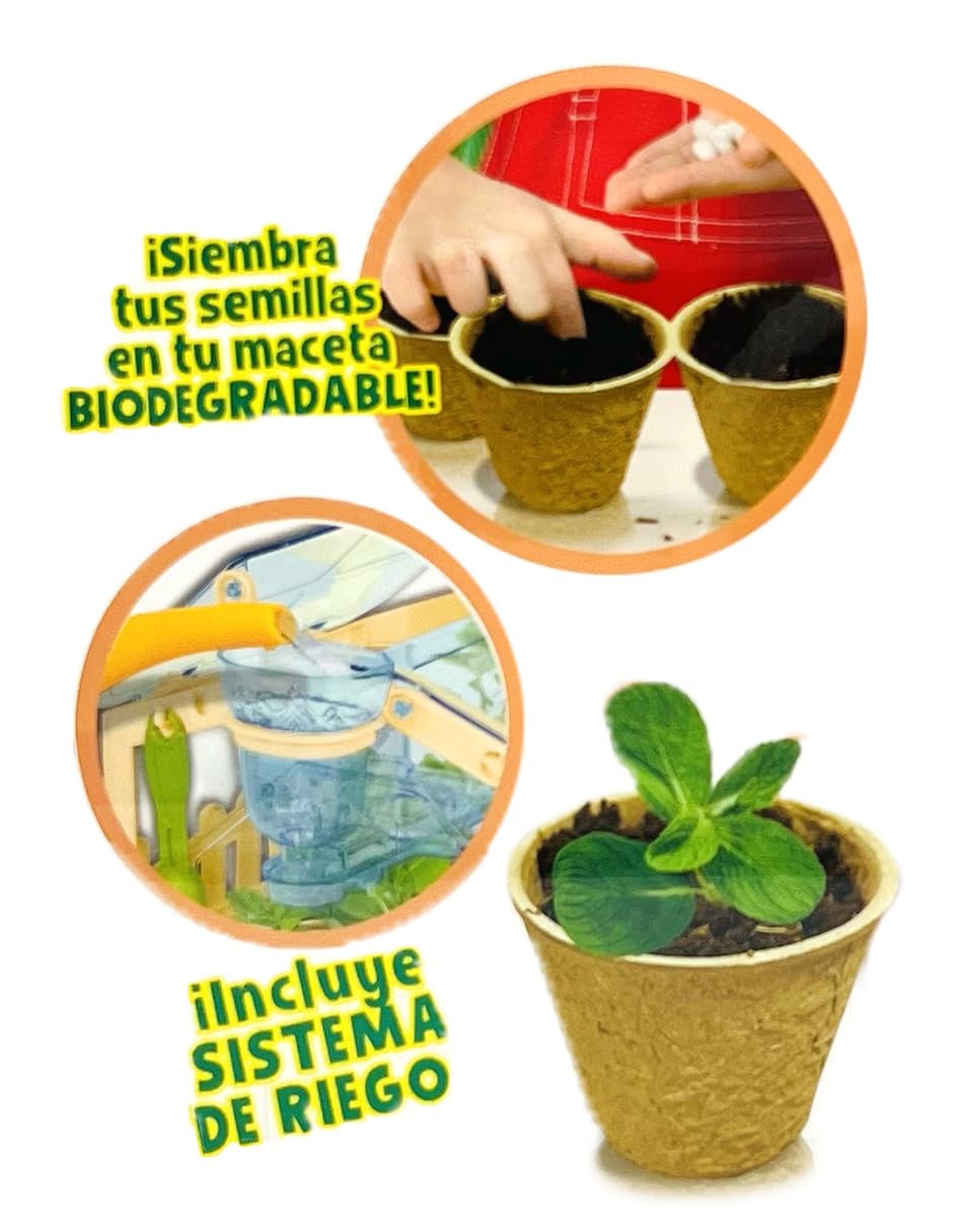 Ult Mi Jardin Botanico Premium, Invernadero, Accesorios de Jardineria, Juego Educativo - imagen 7