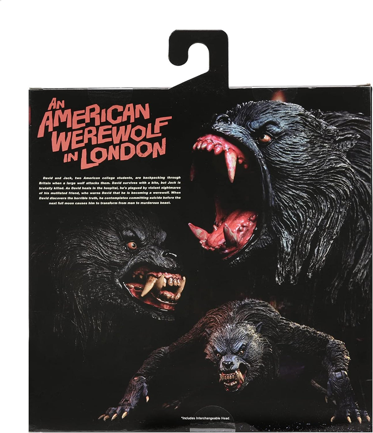 American Werewolf Un Hombre Lobo Estadounidense en Londres Kessler Hombre Lobo Figura de acción [Versión definitiva]