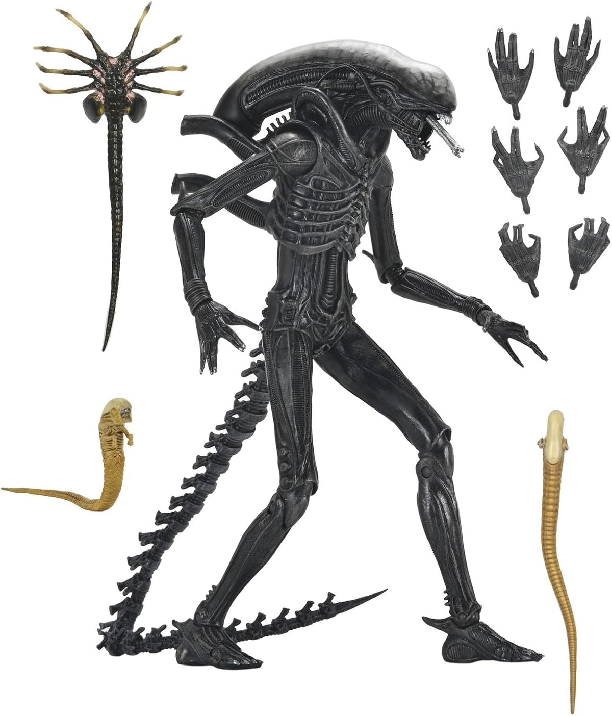 NECA Alien Romulus Ultimate Xenomorph XX121 7″ Action Figure