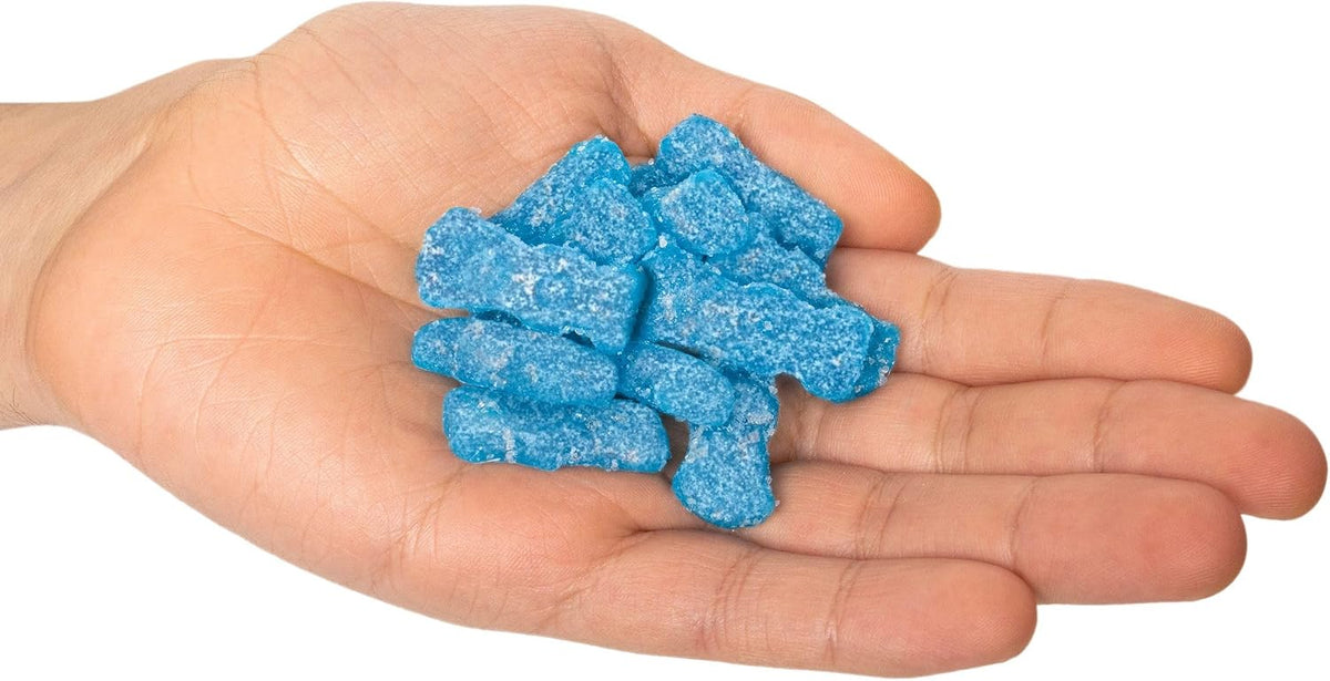 The Hampton Candy Company Sour Kids Blue Raspberry, bolsas de 3,6 onzas (paquete de 1) 3,6 onzas (paquete de 1)