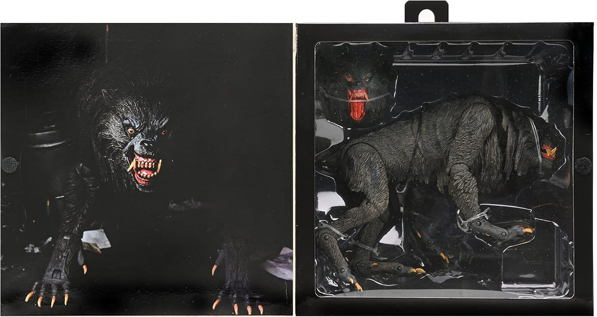 American Werewolf Un Hombre Lobo Estadounidense en Londres Kessler Hombre Lobo Figura de acción [Versión definitiva]