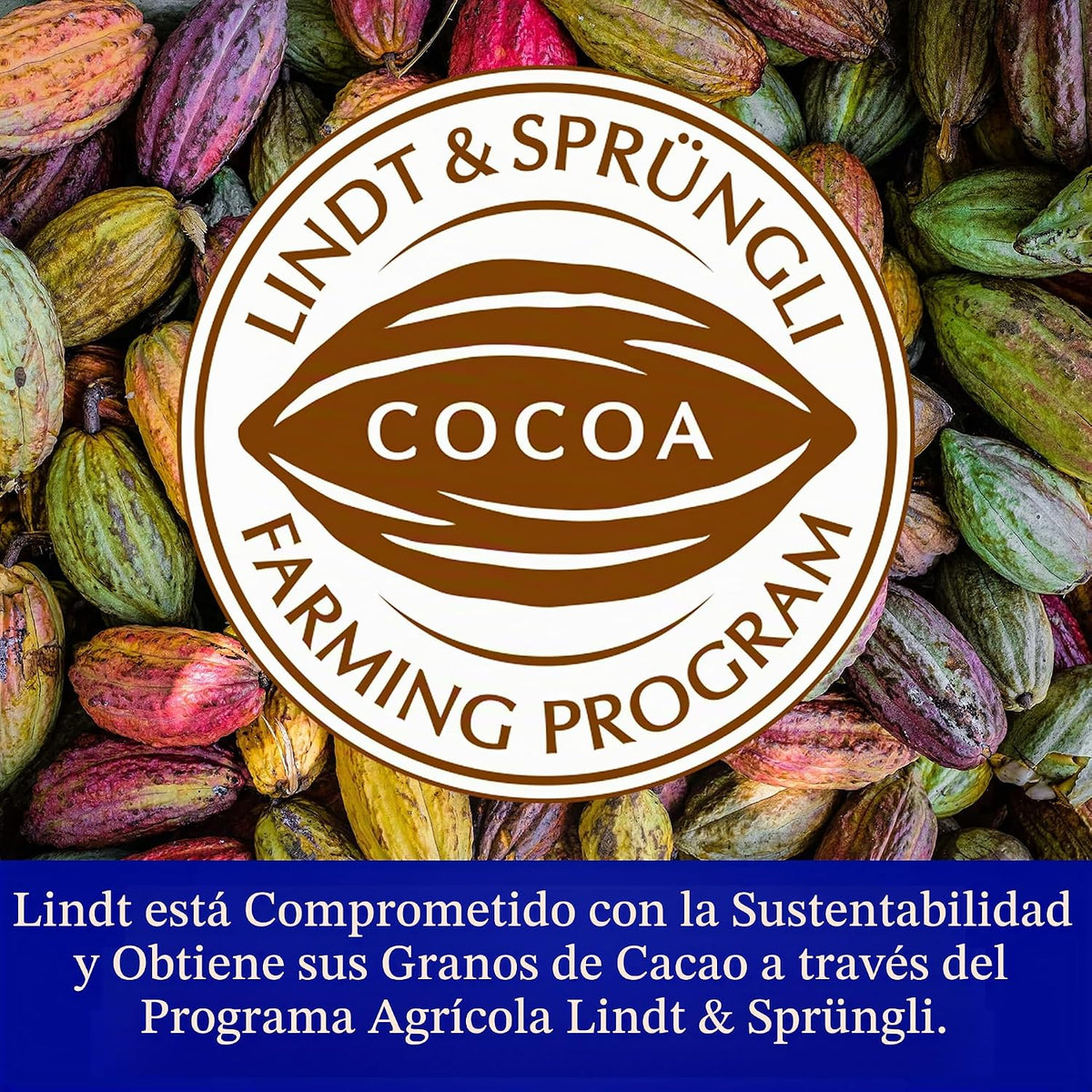 Lindt RECETA CLÁSICA Barra de caramelo de chocolate con leche, chocolate con leche, 4.4 oz.