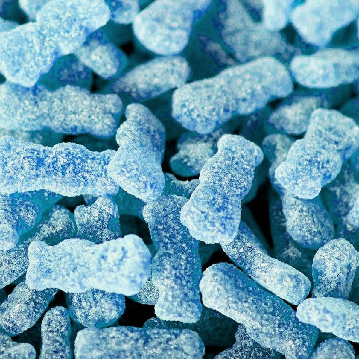 The Hampton Candy Company Sour Kids Blue Raspberry, bolsas de 3,6 onzas (paquete de 1) 3,6 onzas (paquete de 1)